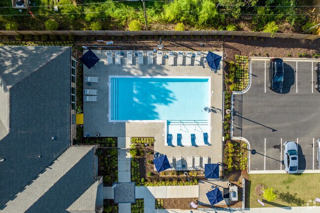 Piscina - Wallace Park, An Alexan Community