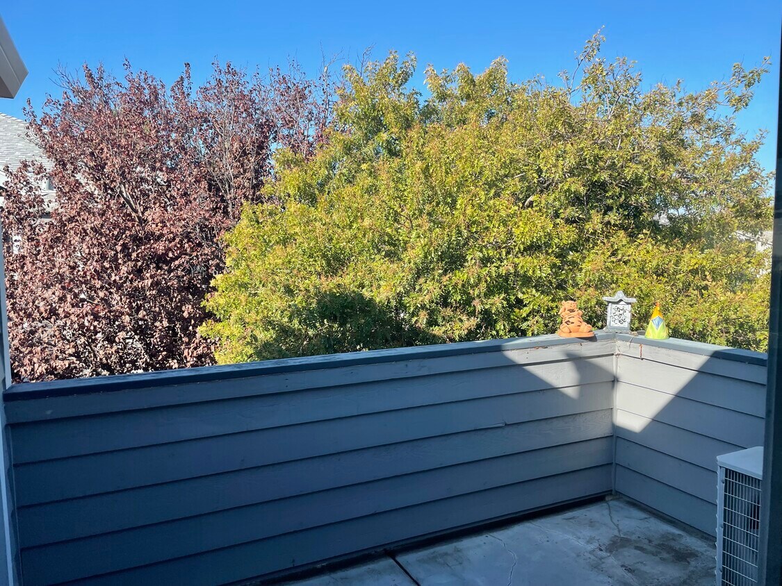 257 Anderly Ct Unit 18, Hayward, CA 94541 Condo for Rent in Hayward