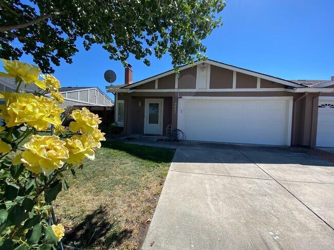 Foto del edificio - 4085 Bristlecone Way