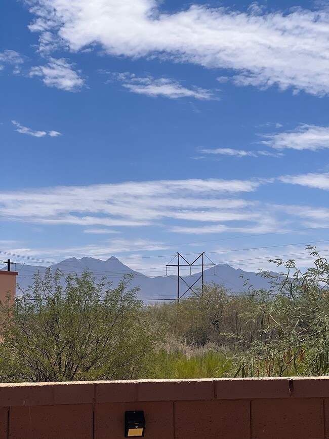 Building Photo - 16023 S Camino Casal