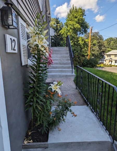 Foto del edificio - 12 James St