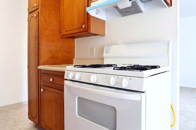 Interior Photo - Shannon South