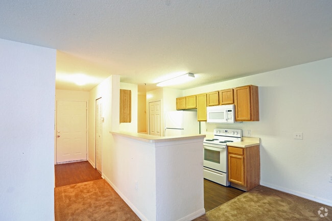 Fountainview Apartments Tampa Fl 3br 2ba 1 181 Sq Ft Kitchen Fountainview Apartments