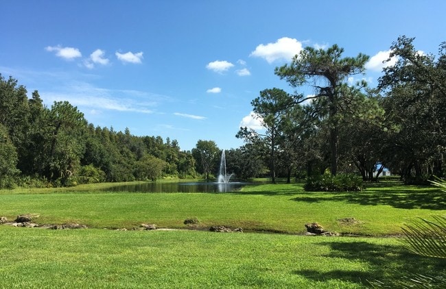 Your spectacular backyard - 5100 Burchette Rd