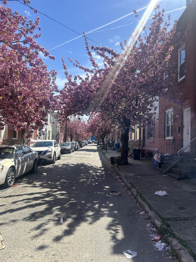 Vista de la calle - 1641 Edgley St