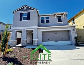 Building Photo - 3485 Hampton Dr