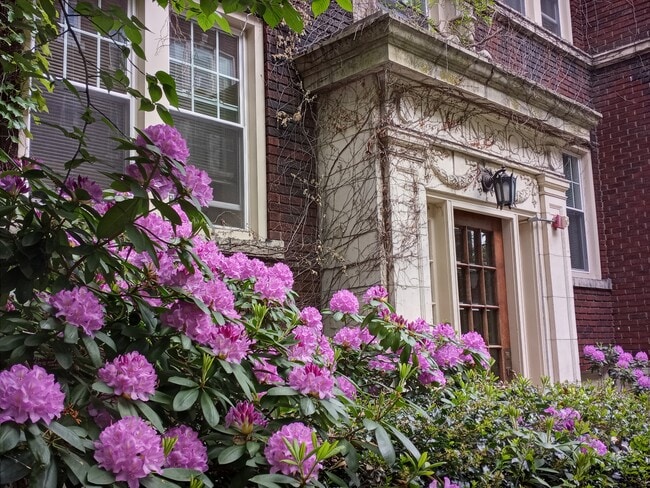 The Windsor Apartments - Windsor Apartments