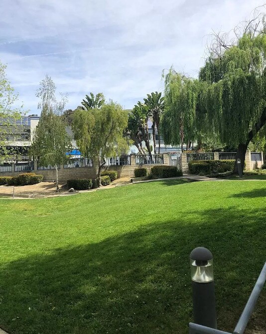 Lawn - 1033 Southwood Dr