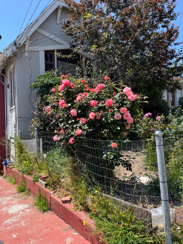 Foto principal - 6127 Majestic Ave