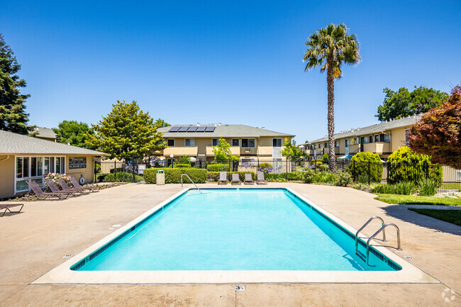 Swimming Pool - Lion Villas