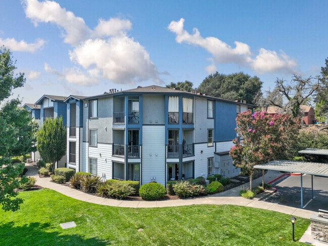 alt principal - Acacia at Santa Rosa Creek