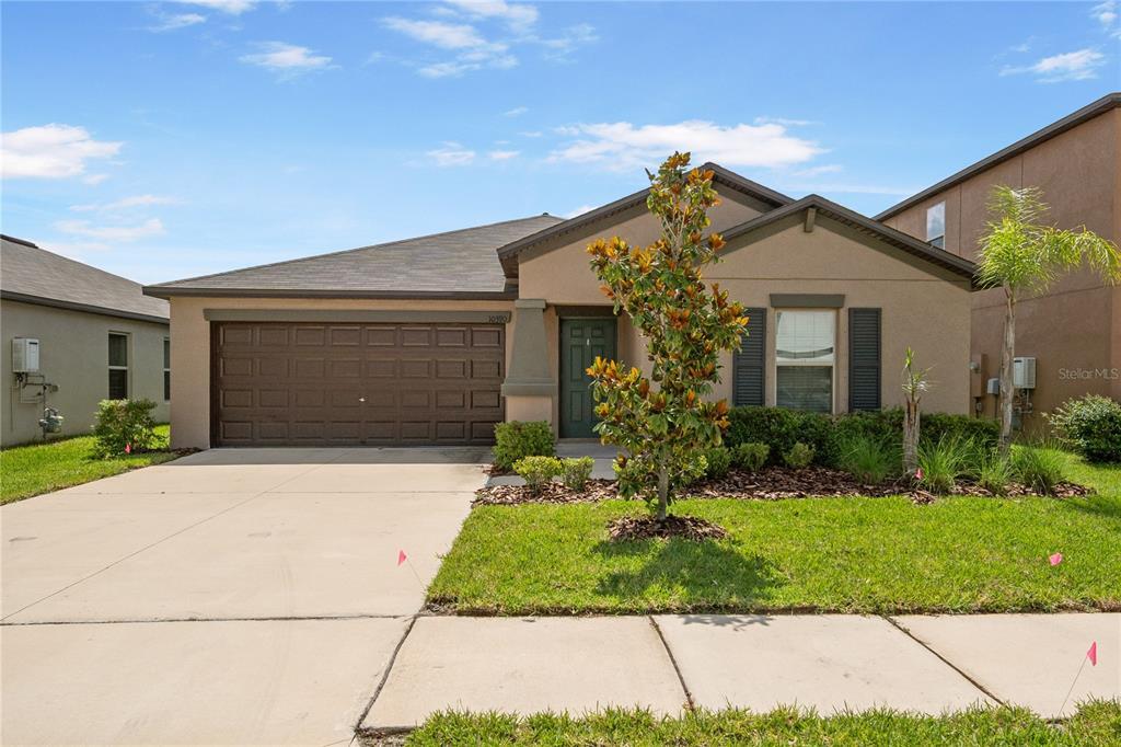 Primary Photo - 10390 Scarlet Skimmer Dr