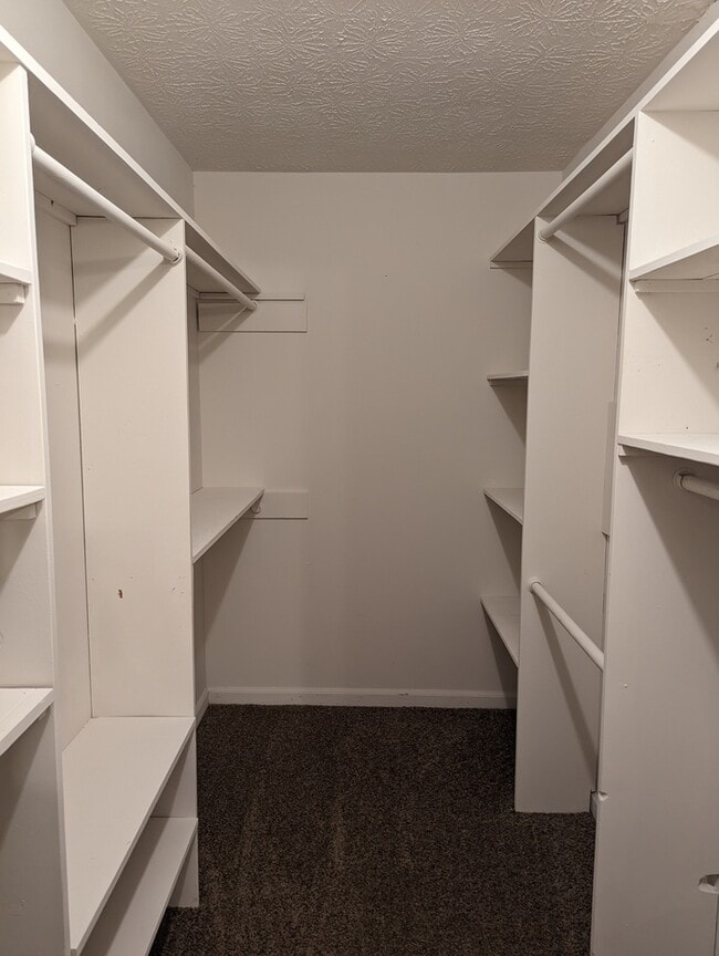 Building Photo - 3850 Timber Hollow Way