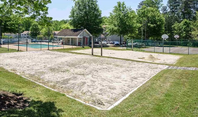 volleyball and basketball courts - 1321 Crab Orchard Dr