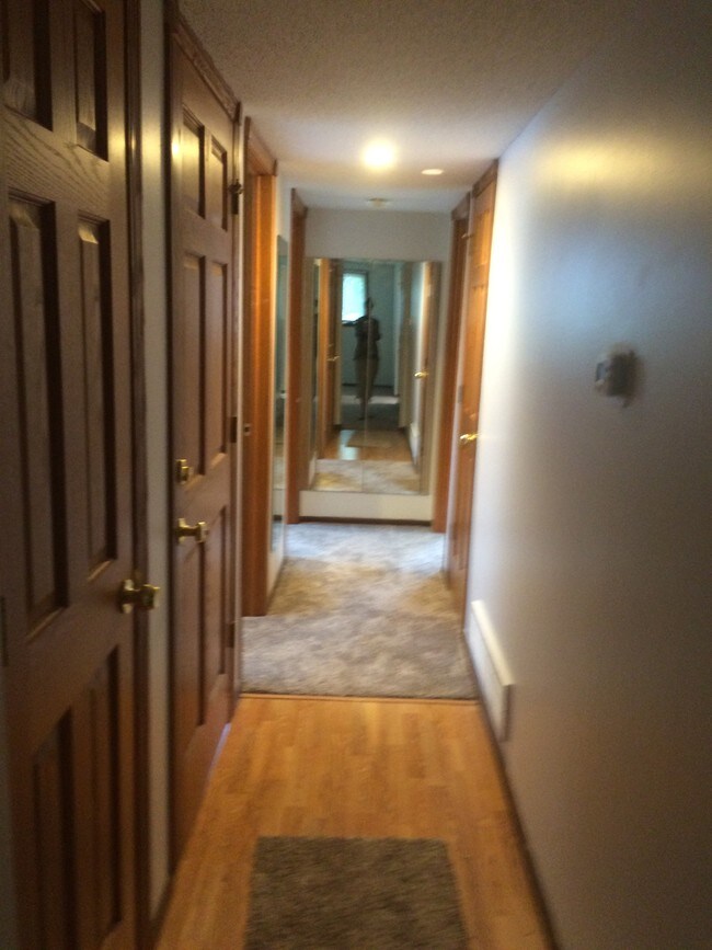 Hallway - w/Harwoods - 2837 County Rd H2