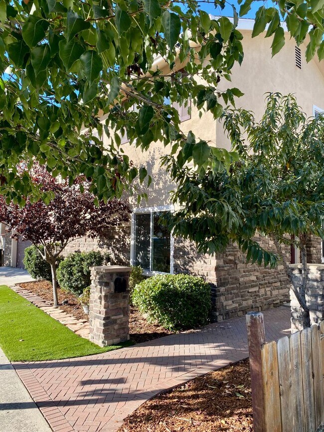 Building Photo - San Carlos Custom Home