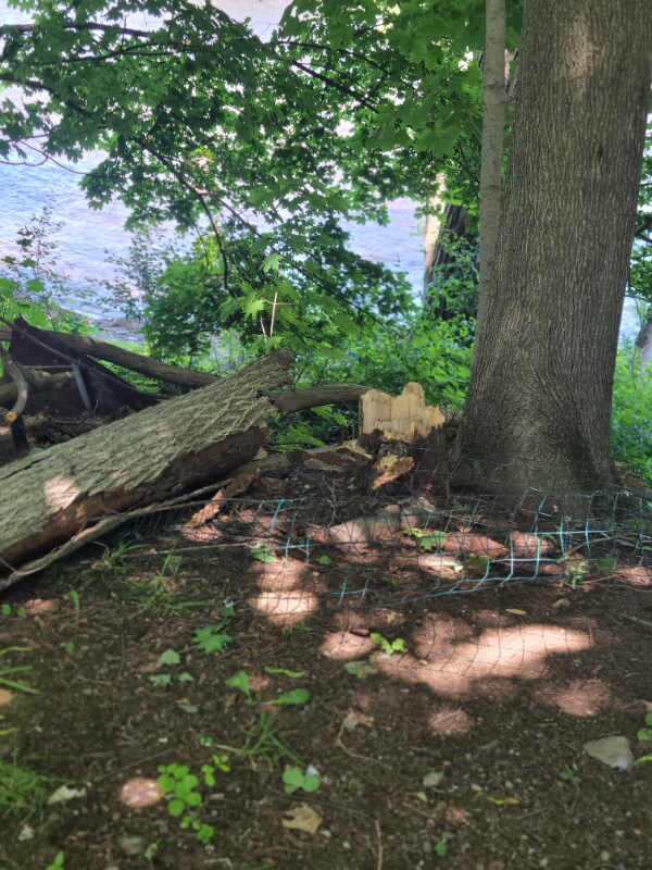 Foto del edificio - 700 Lawrence St