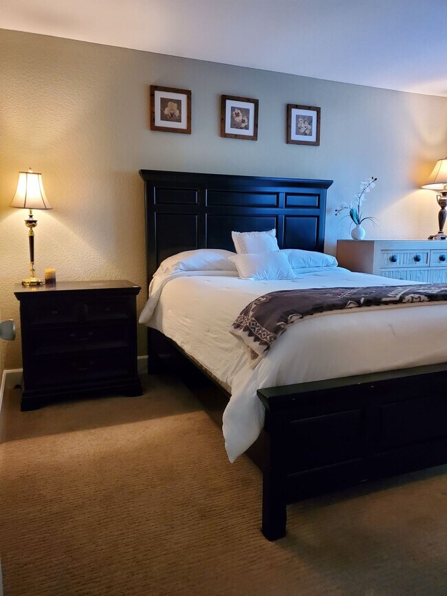 Room for Rent - 2199 Amorosa Gln