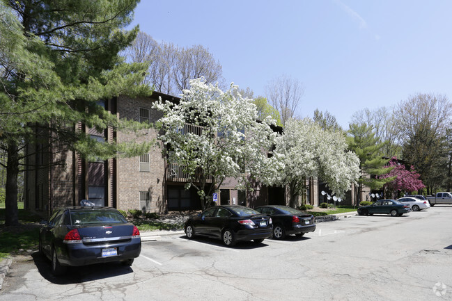 Building Photo - Creekstone Apartments