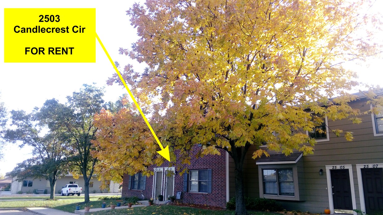 Primary Photo - 2503 Candlecrest Cir