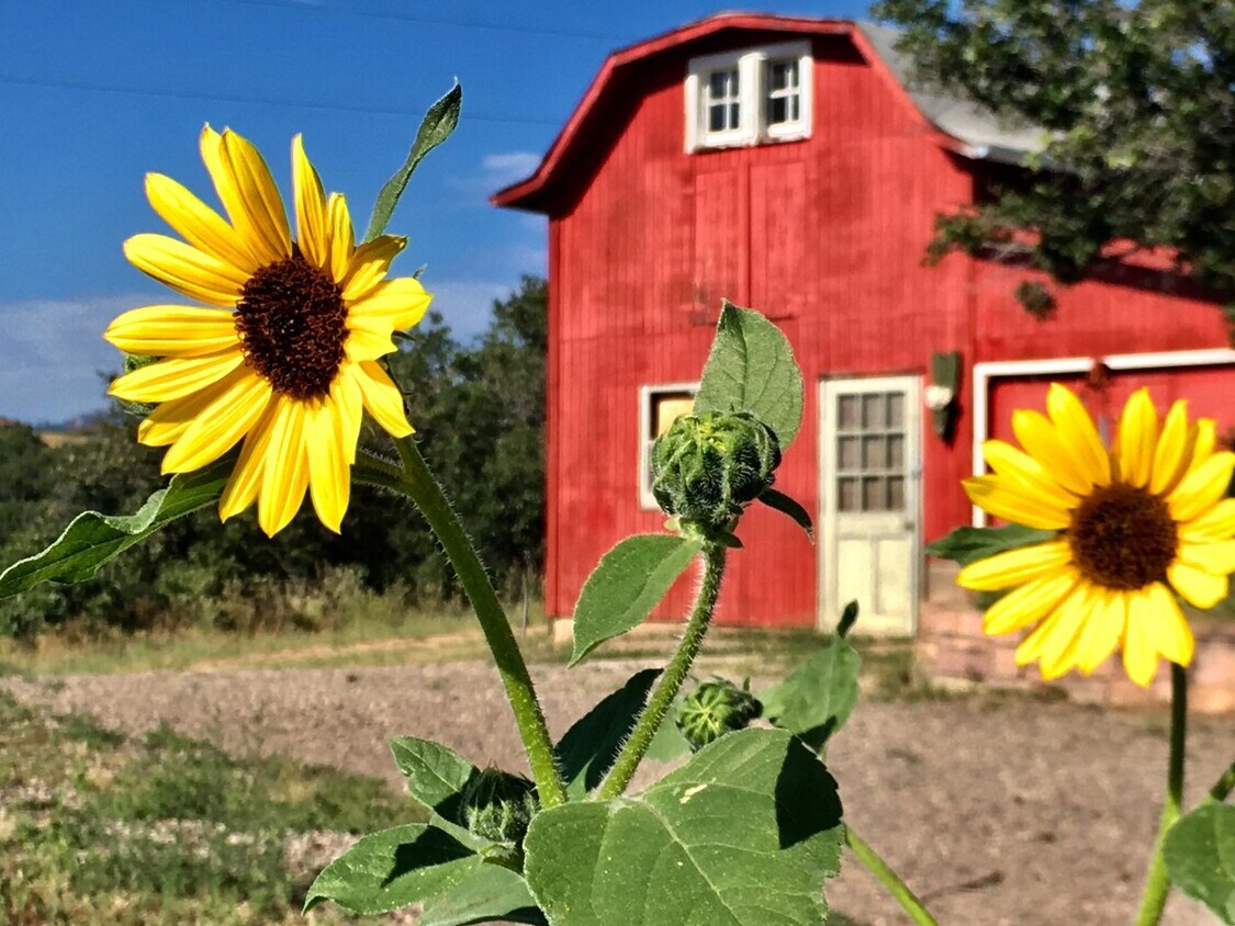 Primary Photo - Acreage Property in Sedalia - Close to Cas...