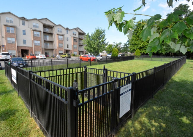Dog Park - Highland Park Apartments