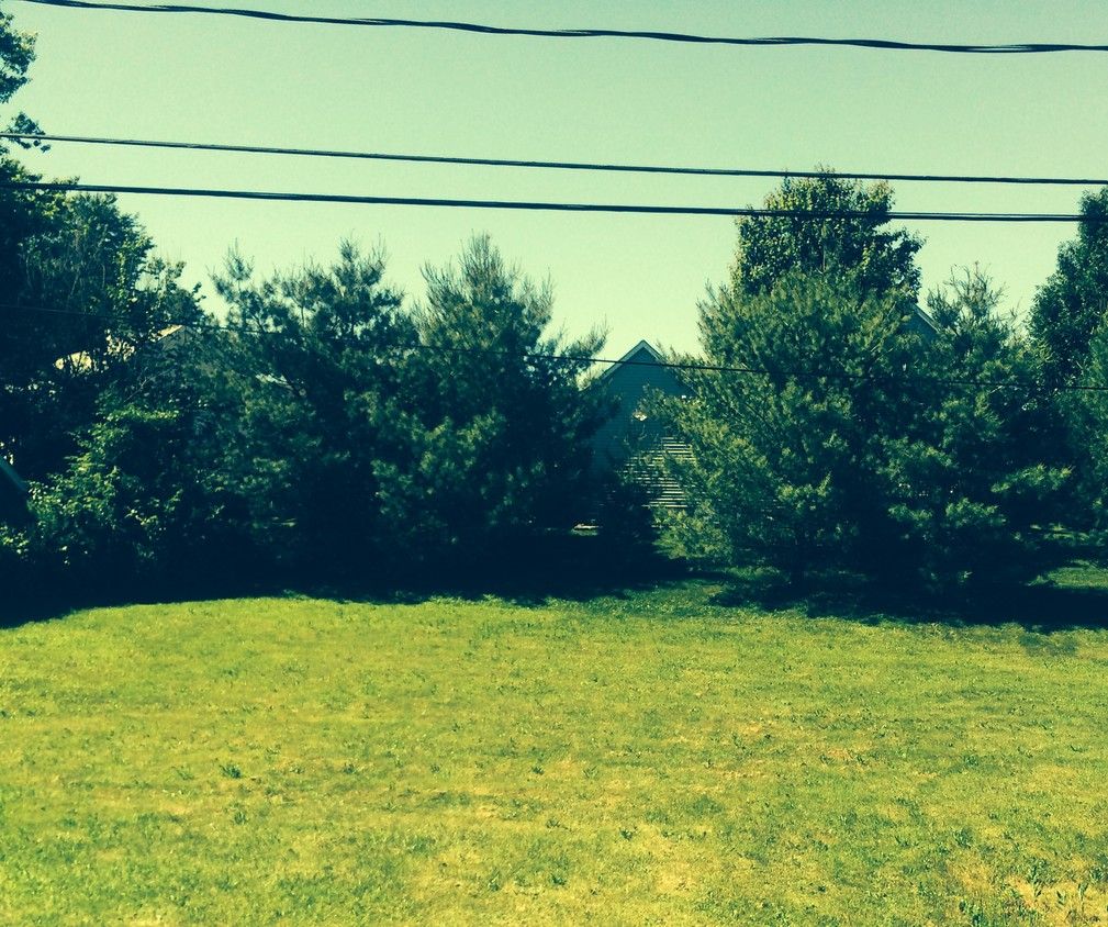 yard - 235 Tuttle Rd