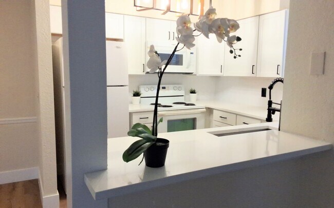 Foto del edificio - 1/1 Second Floor Remodeled Condo X Rent In...