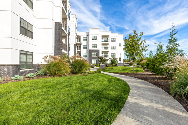 Foto del edificio - The Ivy Apartment Homes