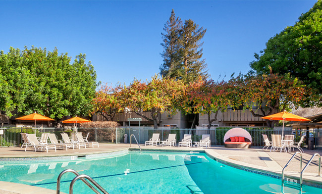 1 of 2 Pools - The Shadows Apartments