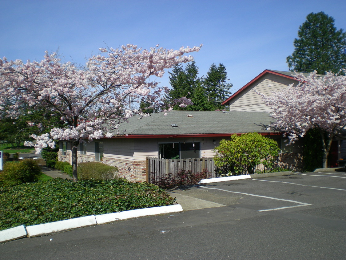 Primary Photo - Village Manor Apartments