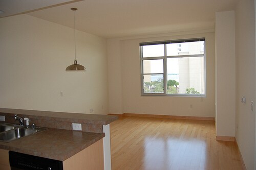 Living/Dining - 309 W Washington Ave