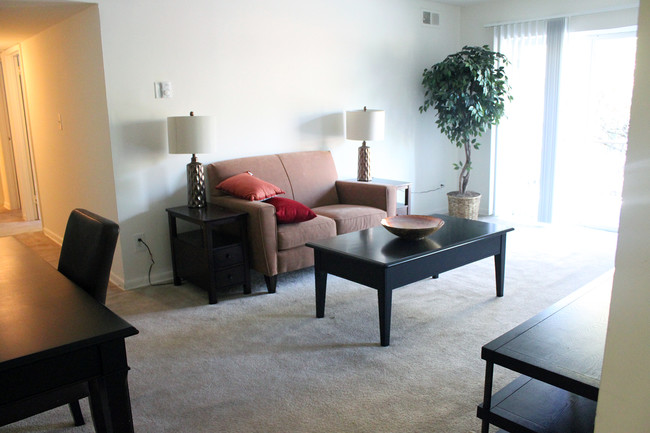 Sala de estar modelo - Park City Apartments