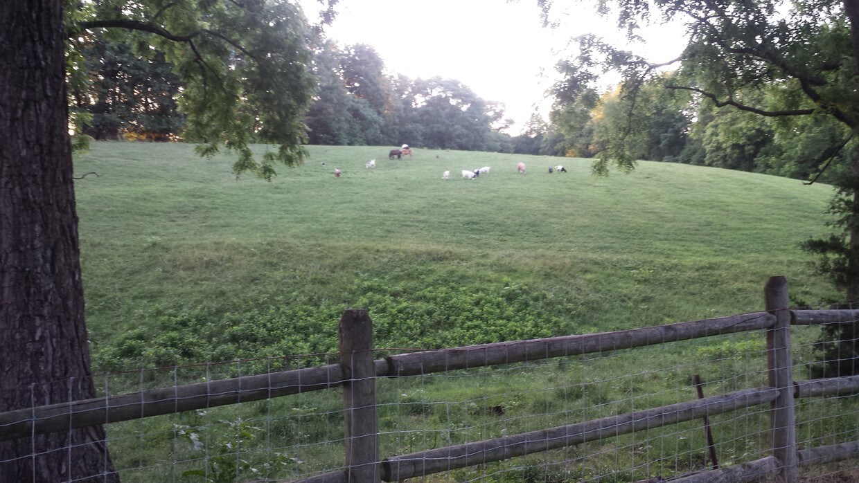 111 Mill St, Mount Crawford, VA 22841 House Rental in Mount Crawford, VA