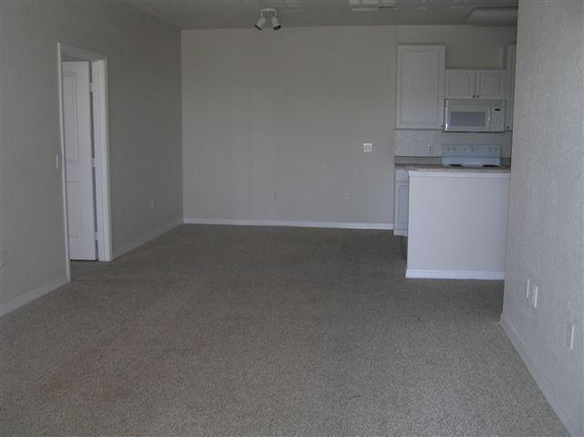 Primary Photo - 6008