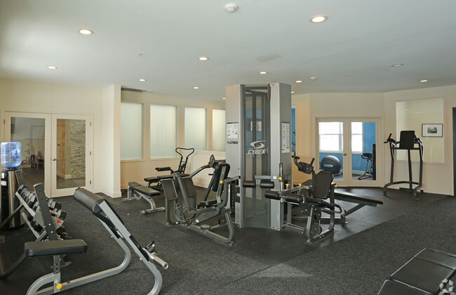 Interior Photo - Steeplechase At Malta