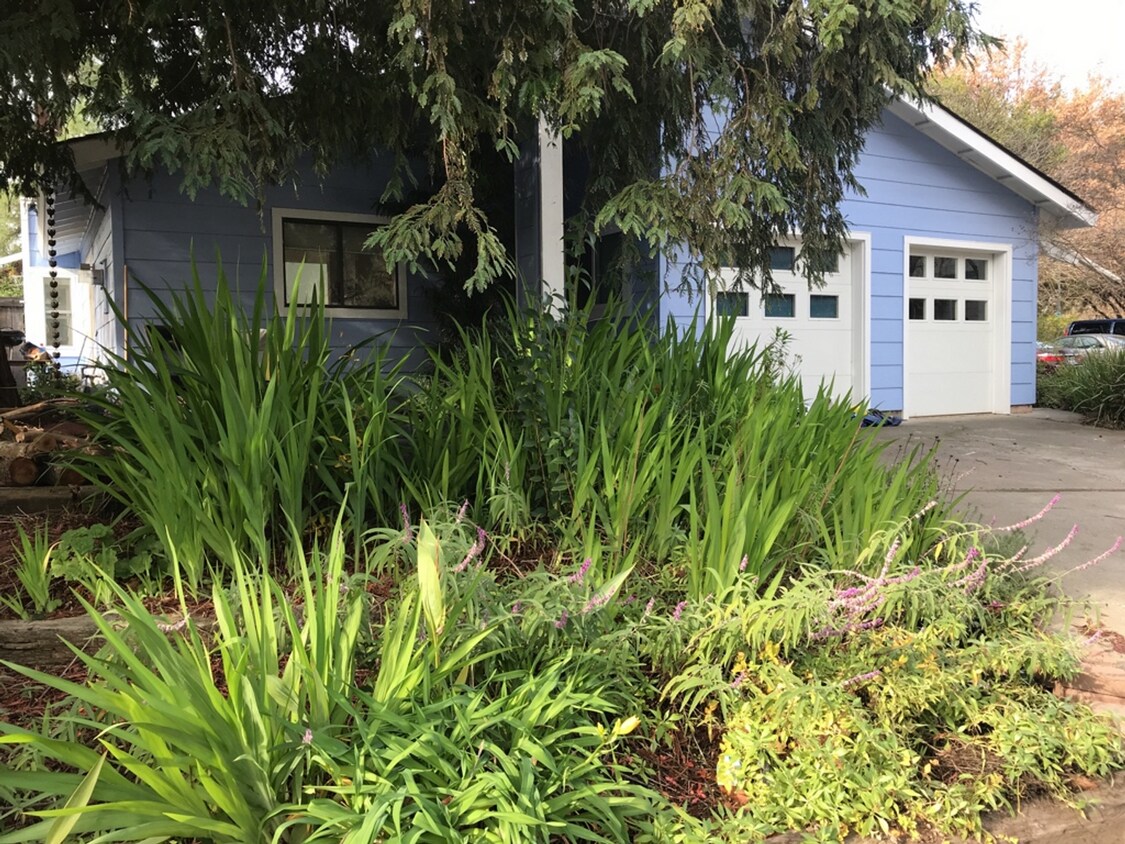 Primary Photo - 3 Bedroom 2 bath plus Office Space in Nort...