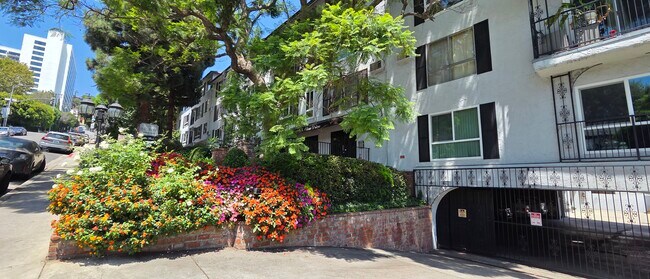 Vista desde la calle - 1222 N Olive Dr