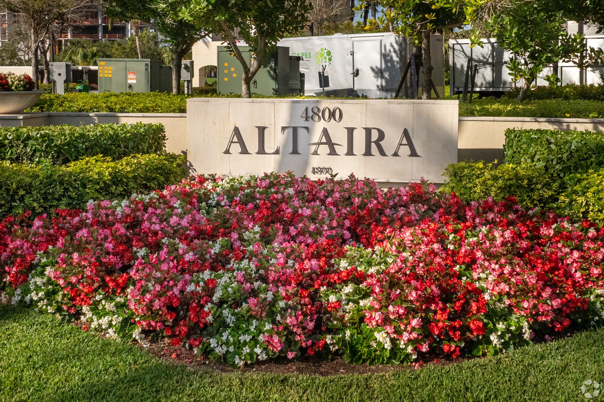 Altaira at the Colony