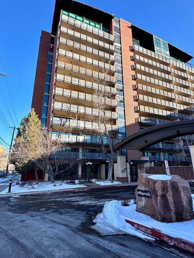 417 E Kiowa St Unit 208, Colorado Springs, CO 80903 Condo for Rent in