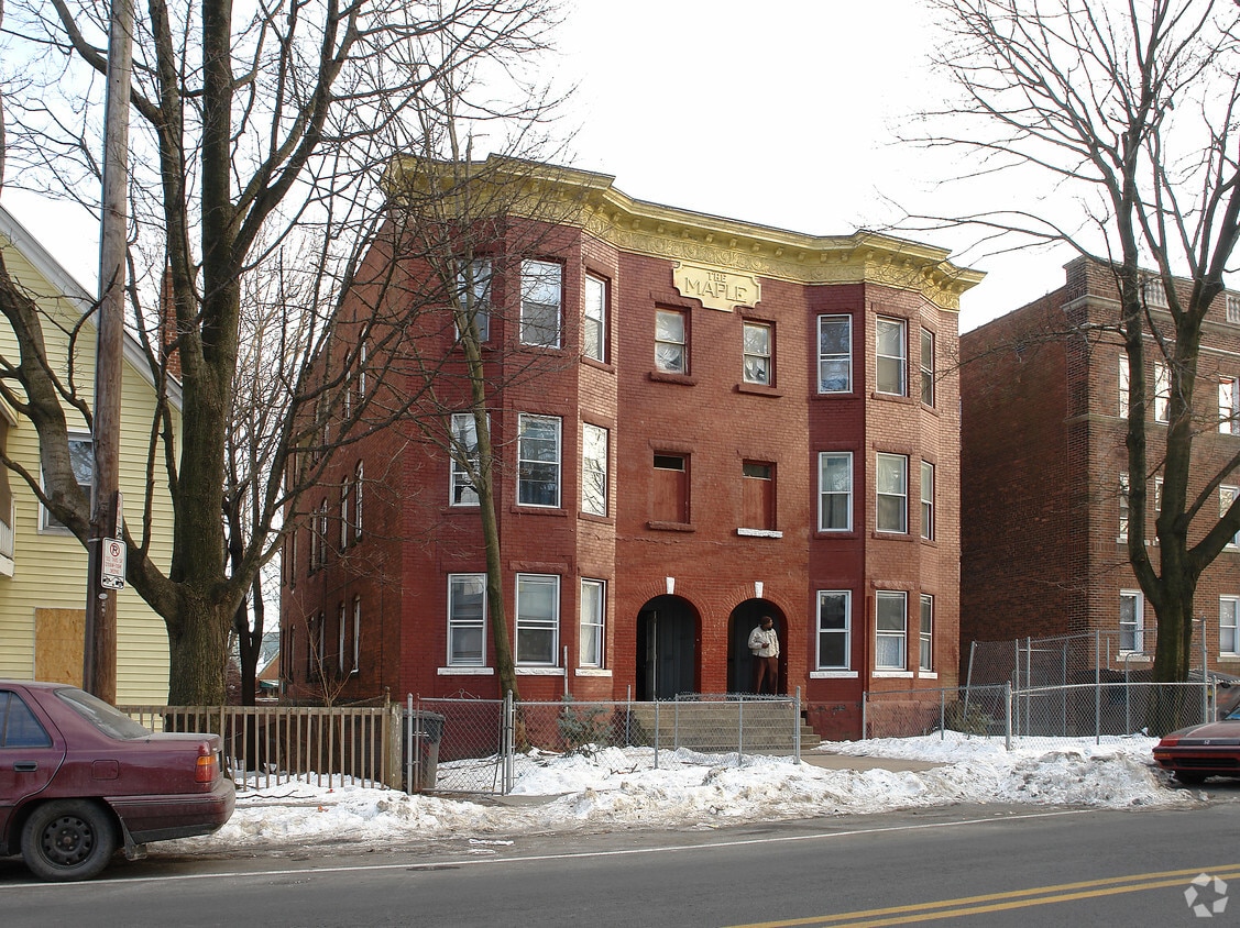 Primary Photo - The Maple