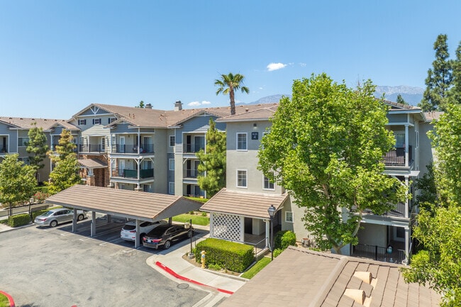 Building Photo - Elate Rancho Cucamonga - 55+ Active Adult Apartment Homes