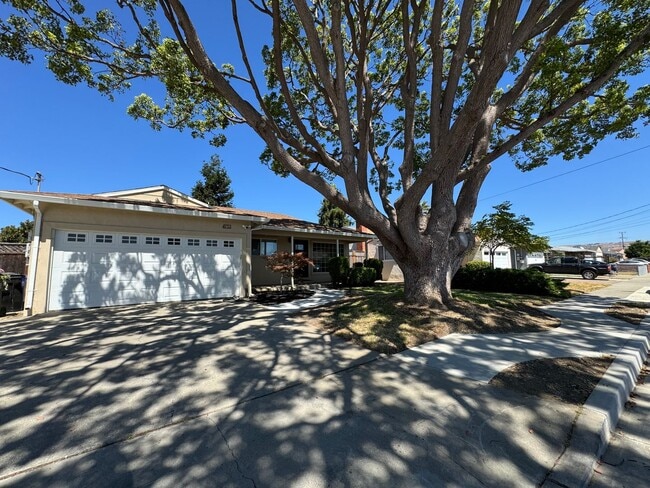 Building Photo - Granado Ave 3 Bedroom 2 Bath