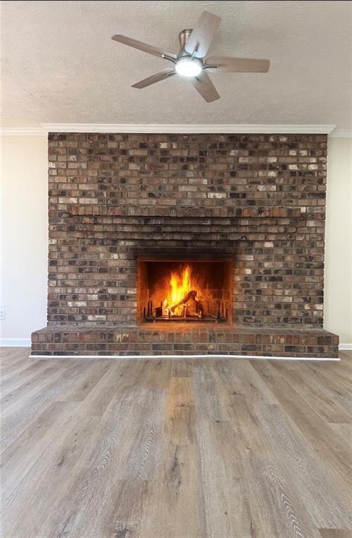 Foto del edificio - 865 Cherrydale Ln