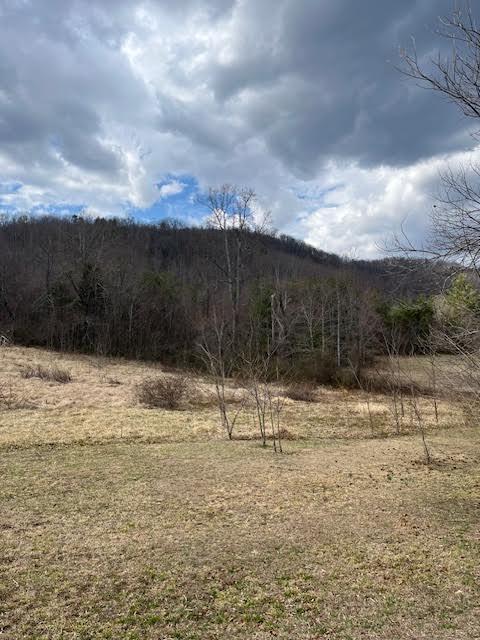 Building Photo - 84 Barnwell Acres Dr