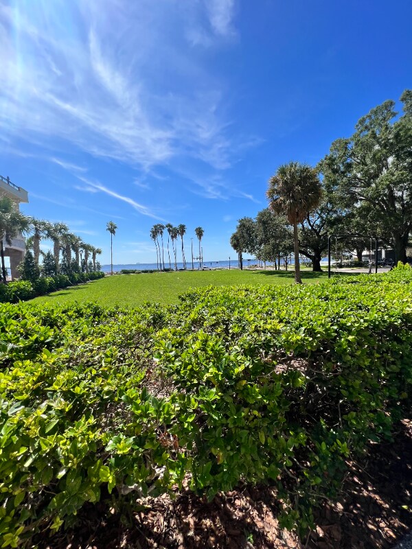 Foto del edificio - 2109 Bayshore Blvd