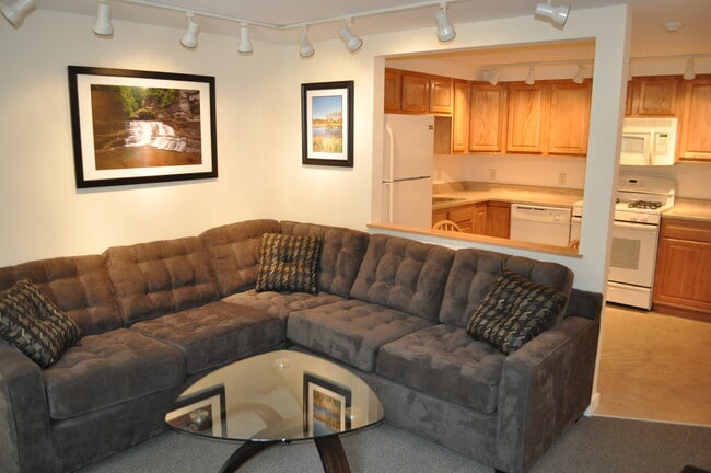 Building Photo - 203 Williams St