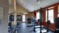 This single-floor fitness center is thoughtfully designed to support a comprehensive workout experience. The space features soaring vaulted ceilings accented by a ceiling fan and recessed lighting, creating an open and airy atmosphere. Bold terracotta-red accent walls contrast with neutral tones, giving the gym an energetic yet focused ambiance. Large windows along the walls invite generous natural light throughout the space. Full-length wall mirrors extend the visual depth of the room while allowing users to monitor their form during exercise. The strength training area is anchored by a professional-grade Rogue power rack, complete with a loaded barbell and an adjustable bench, catering to serious lifters. A well-stocked dumbbell rack and a selection of medicine balls are neatly organized along one wall, offering versatile options for functional training. The cardio section features an elliptical machine and a rowing machine, providing low-impact endurance options. Durable rubber flooring covers the entire space, offering safety and stability for all types of exercise. A French door at the far end adds a refined architectural touch while providing access to an adjacent area, rounding out this well-appointed fitness facility.