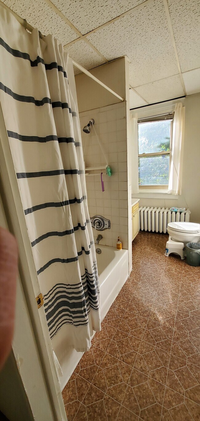 Baño - 531 W Union Blvd