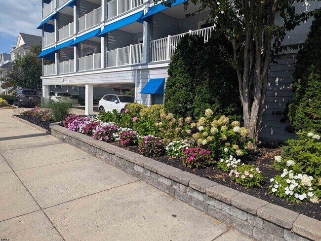 Foto del edificio - 1008 Wesley Ave